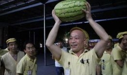 吃瓜爆料每日大赛最新动态 吃瓜视频在线观看全集,最新动态揭秘，精彩视频全集在线观看